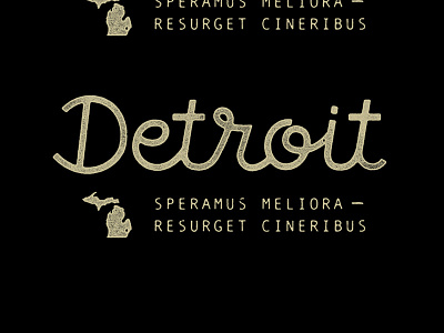 Detroit Script detroit lettering michigan script type typography