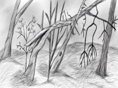 Observing Nature illustration ilustracja landscape natura nature sketch tree trees