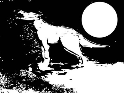 The Wolf Howls to the Moonlight digitalillustration digitalsketch forrest illustration landscap landscape moon night nightlife sketch sketching vector vectorart wilderness wilk wolf wolf logo