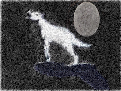 Wolf Howls at Night