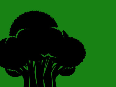 Broccoli green illustration vector vegitable