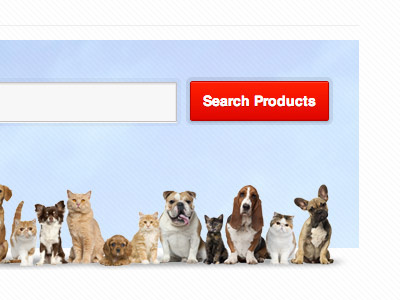 Search button cat dog web