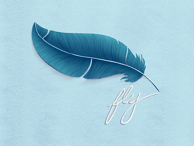 Fly feather flying illustration poetry procreate wing