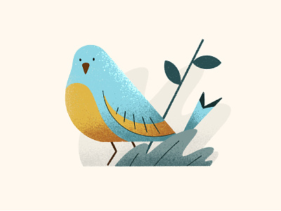 Birb bird bird illustration design graphic design illustration illustrator procreate vector