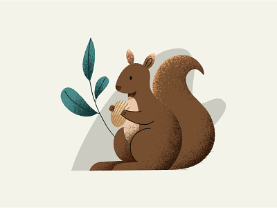 Squirrel animal animal illustration graphic design illustration illustrator squirrel squirrel illustration
