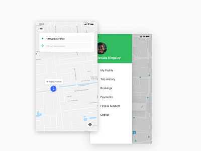 PORTFOLIO DAY 4 ride sharing sidebar