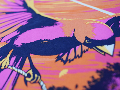 Phish Raleigh, NC birds clouds gig poster illustration phish poster print screenprint