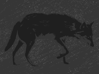 Wolfing' around gray illustration snow wolf