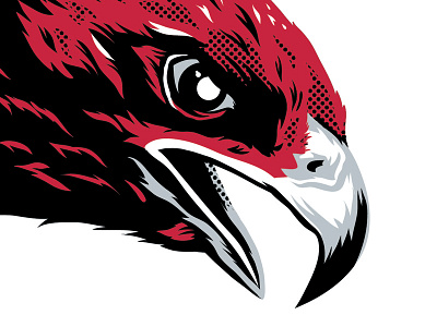 Atlanta Falcons atlanta beer bird falcons football illustration lite miller nfl poster
