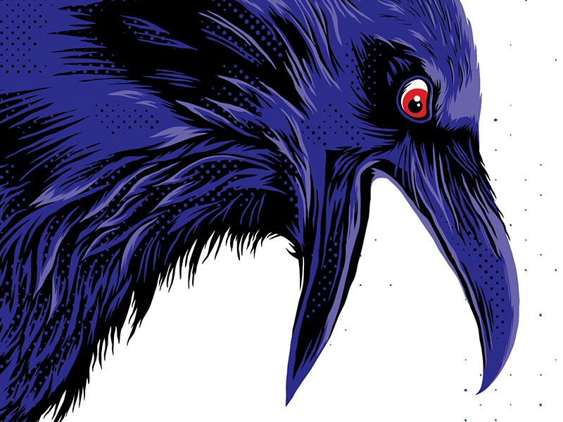 Baltimore Ravens by Ryan Lynn on Dribbble