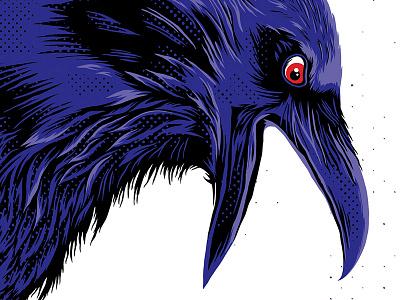 Baltimore Ravens beak beer bird feathers field football half tone illustration nfl purple raven wings