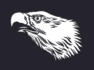 Eagle black eagle illustration white