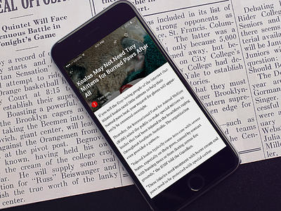 News Reader - IOS Concept app apple application article flat ios iphone news reader ui uiux