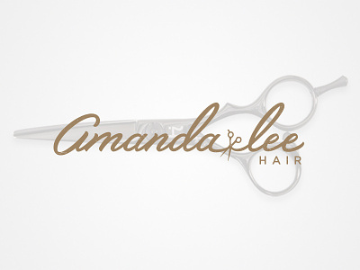 Amanda Lee Hair Logo branding custom lettering hair hand drawn type identity jenna bresnahan lettering logo logotype salon type typography