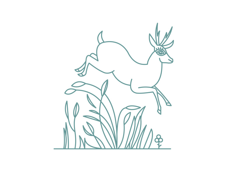 Deer Line gazelle stroke illustration animal minimal plant vector lineart deer