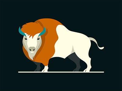 Buffalo animal artwork bison buffalo concept illustration illustrator