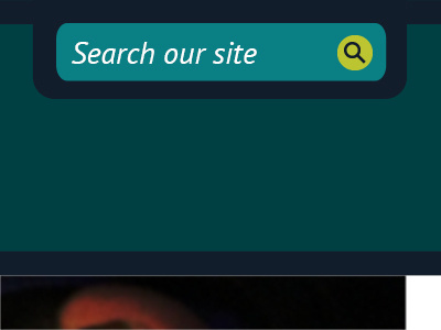 search box