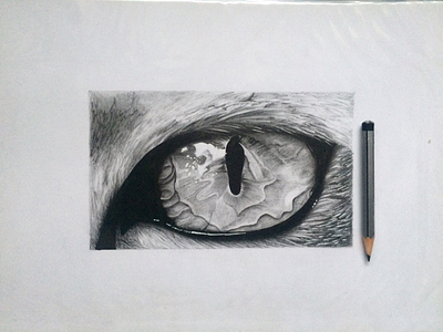 Realistic tiger eye sketch. artist illustration sketch sketchbook
