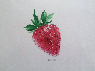 Realistic Strawberry Sketch artist illustration sketch strawberry