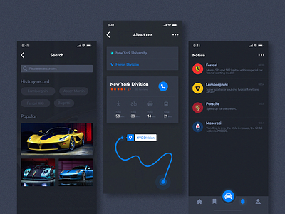 Car APP, search page, consultation page