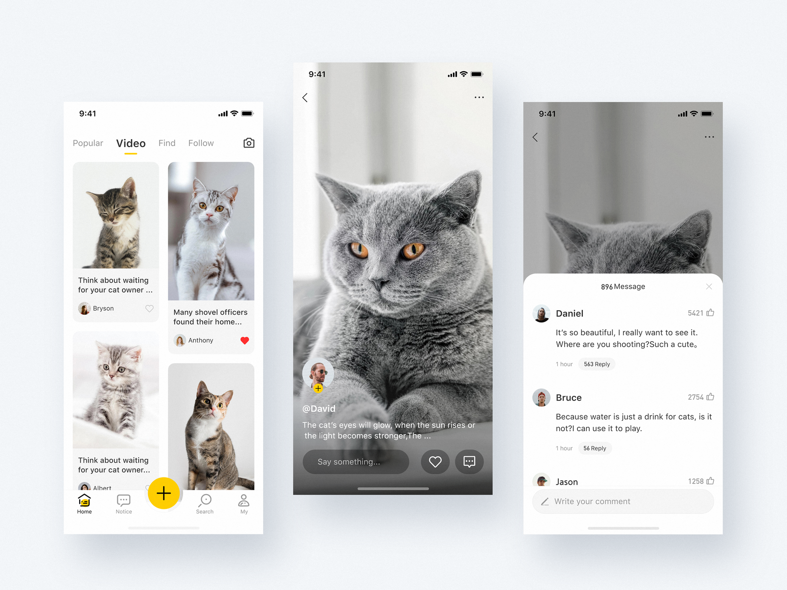 Pet Community - List page to share with everyone by Breeze on Dribbble