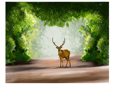 Nature color design digitalart drawing forest graphic design illustration nature