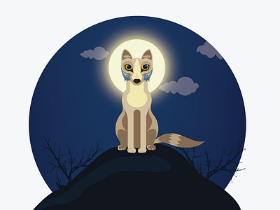 Fox At Night