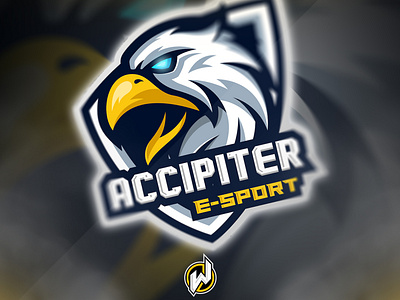 ACCIPITER E-SPORT