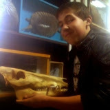 Андрій Бабак