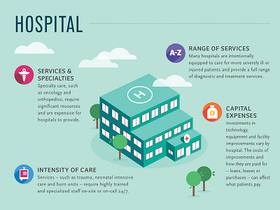 Cost of Care - Hospital healthcare infographic