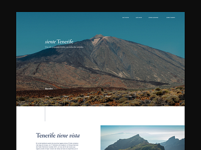 siente Tenerife concept design island mountain photograhy travel ui ui design uxui visit