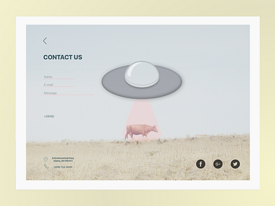 Daily UI #028 Contact Us