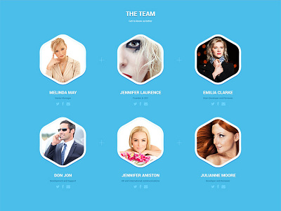 Lola The Team Section flat hexagon one page section simple social team theme title