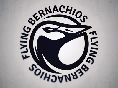 Fb logo