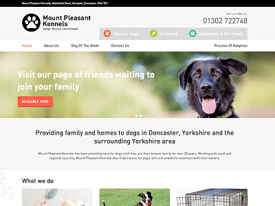 Mount Pleasant Kennels Home Page