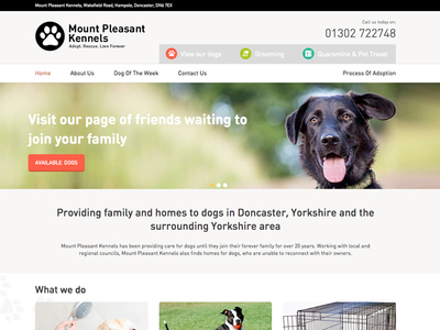 Mount Pleasant Kennels Home Page colour dog dog kennels dog shelter grid header layout page product typography ui web