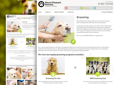 Mount Pleasant Kennels Grooming Page adoption colour dog dog kennels dog shelter grid grooming layout page typography ui web