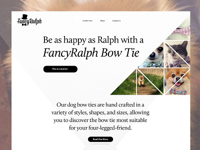 Fancy Ralph (design) bowties dog layout page pomeranian simple ui web web design woof