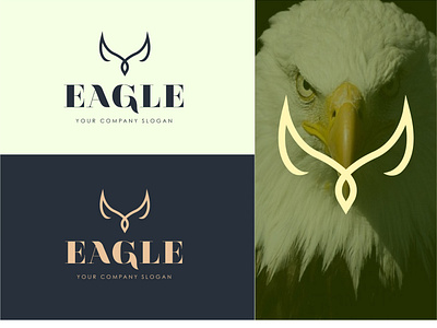 hello dribbble. eagle logo design black branding design eagle logo eagle logo design hello dribbble illustration logo typography vector vektör