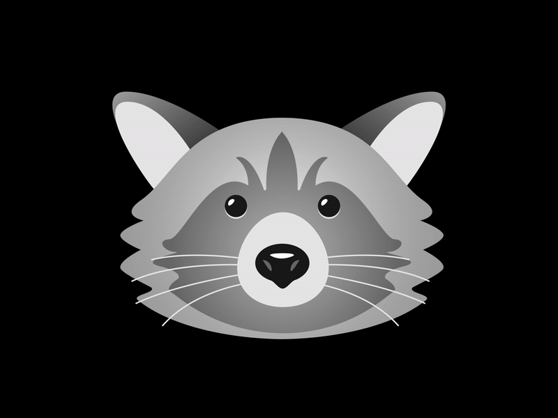 Raccoon animal face flat leery raccoon suspicious