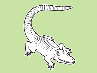 A is for Alligator animal design drawing illustration sketch