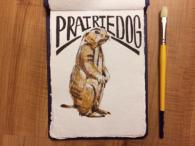 Prairie Dog animal design drawing illustration painting prairie dog sketch sketchbook watercolor