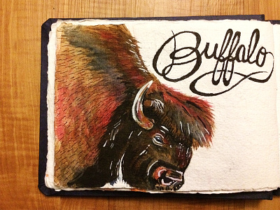 Buffalo buffalo design drawing hand done illustration painting sketch sketchbook technique type typography watercolor