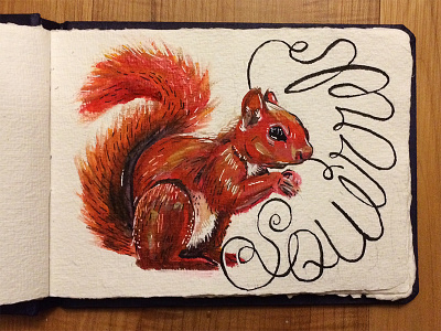 Squirrel drawing graphic design hand done illustration painting squirrel typography watercolor
