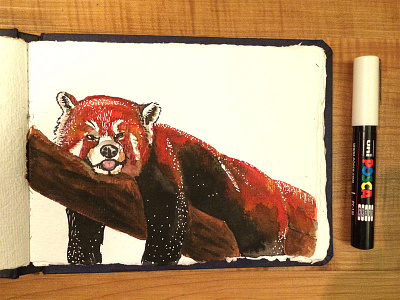 Red Panda animal drawing graphic design hand done illustration painting posca red panda sketch sketchbook typography watercolor