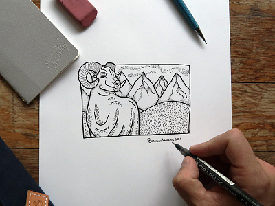 Colorado Bighorn Sheep art bighornsheep colorado design graphic handmade illustration illustrator inktober photography