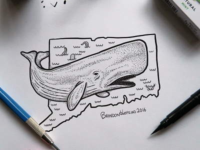 Conecticut SpermWhale art conecticut design graphic handmade illustration illustrator inktober photography whale