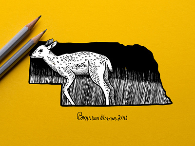 Nebraska Deer art deer design graphic handmade illustration illustrator nebraska