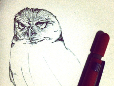 Owl Sketch doodle drawing owl sketch