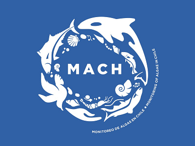MACH Logo brand brand identity branding branding design design logo logo design logo design logos